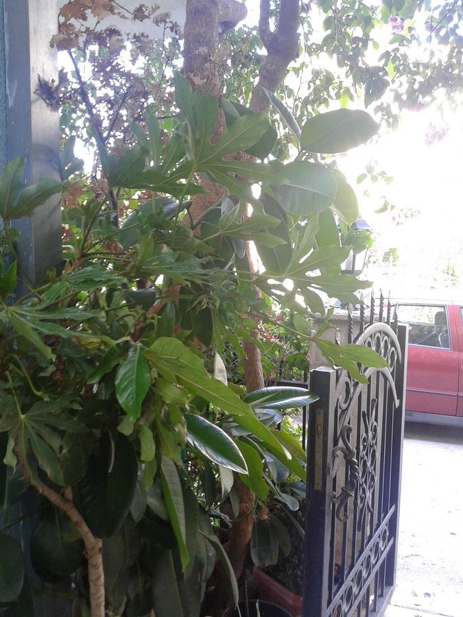 Apartmani Lalo Jankovic Sutomore Esterno foto